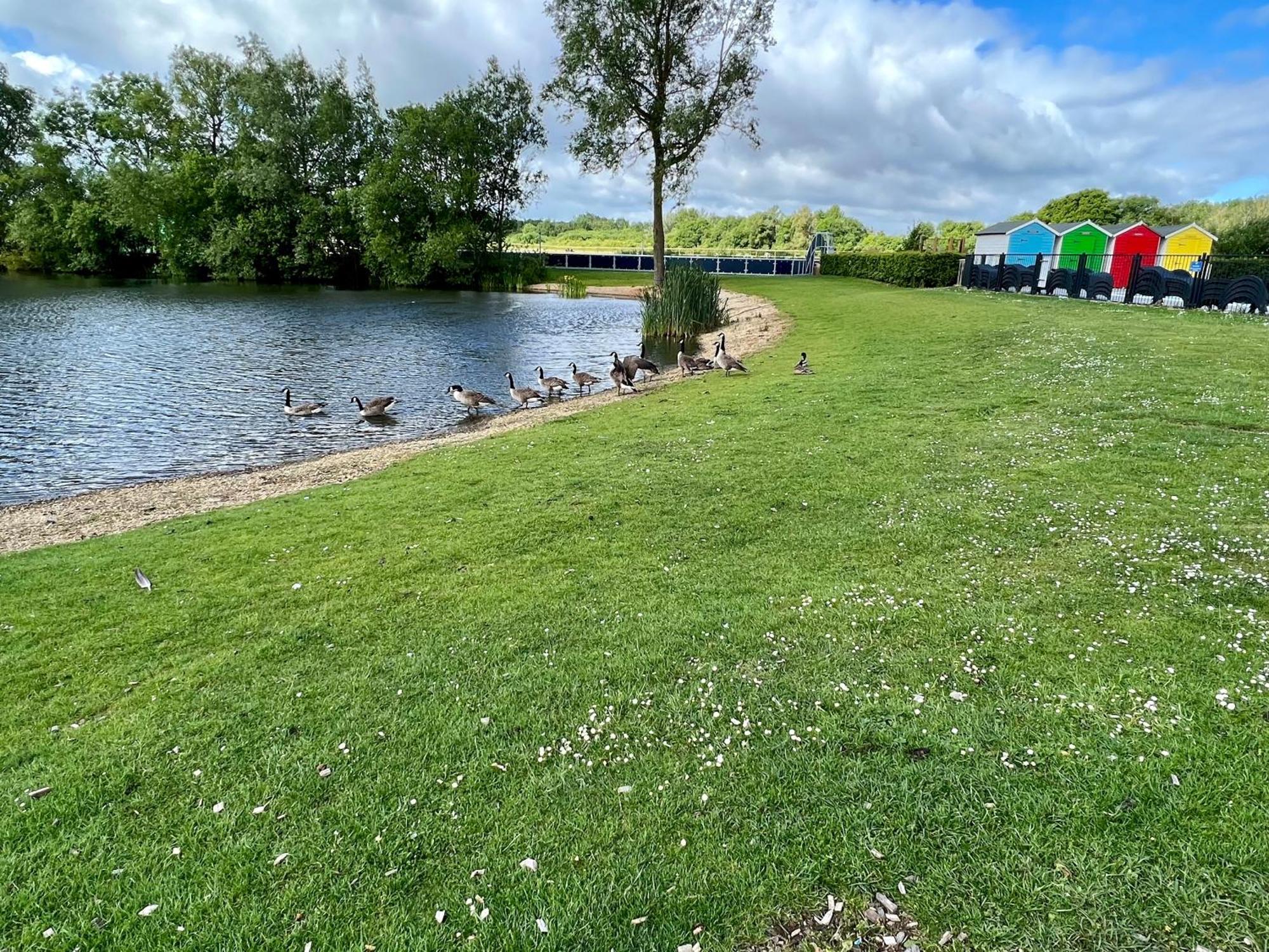 Paws Lodge, Hot Tub, Pet Friendly South Cerney Exterior foto